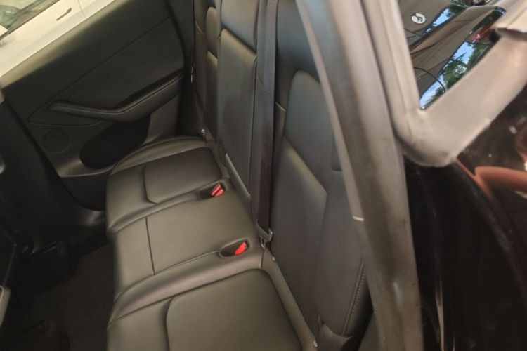 Tesla Model Y 2023 #17 Tesla Model Y 2023 car image #17