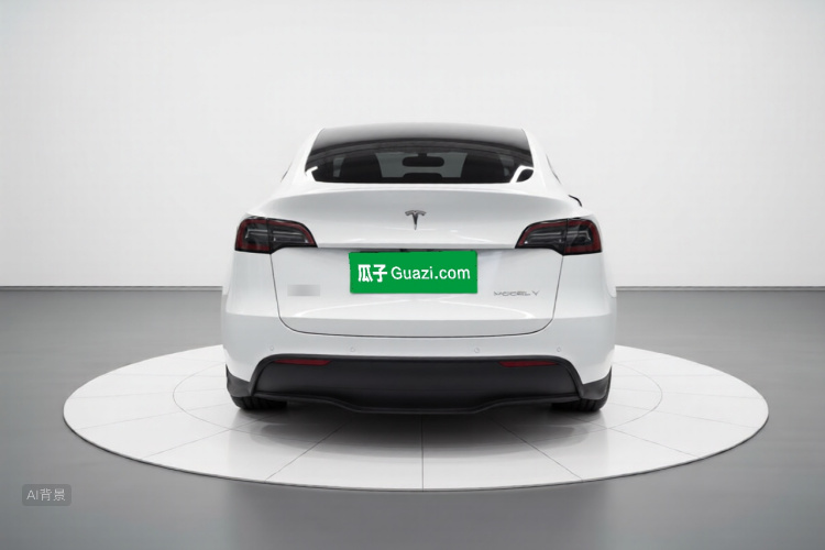 Tesla Model Y 2023 car image #6