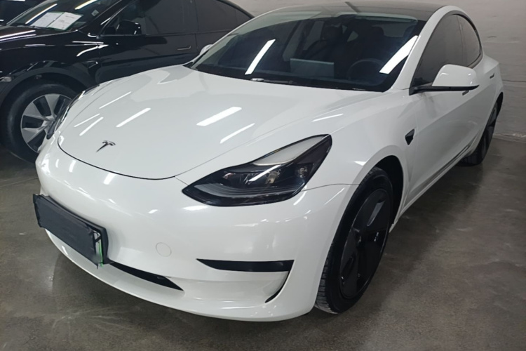 Tesla Model 3 2021 car image #2