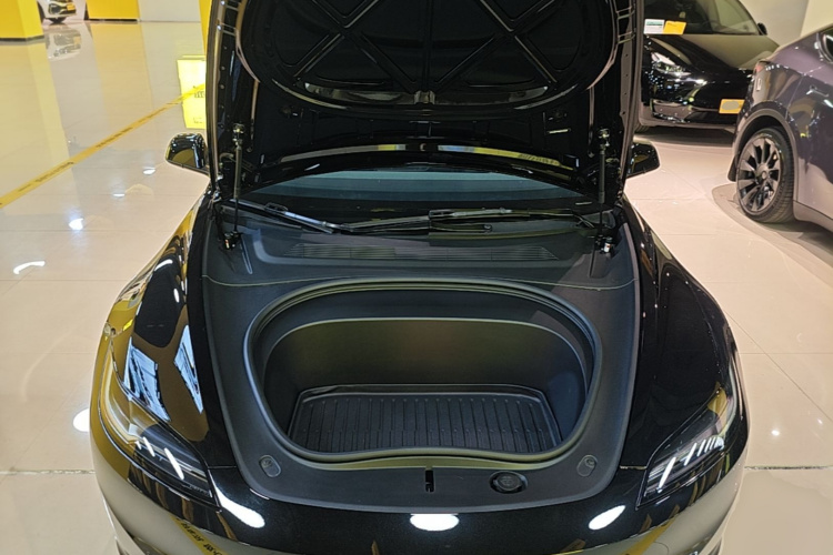 Tesla Model 3 2025 #20 Tesla Model 3 2025 immagine di auto #20