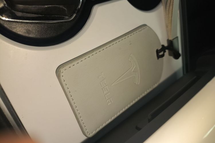 Tesla Model 3 2021 car image #14