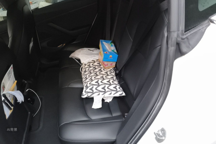 Tesla Model 3 2020 car image #19
