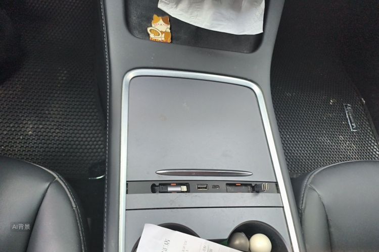 Tesla Model 3 2021 car image #16