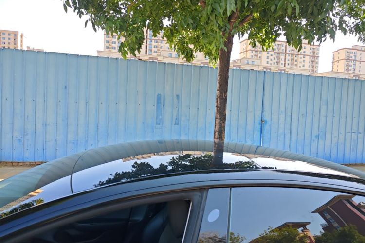 Tesla Model 3 2022 car image #25