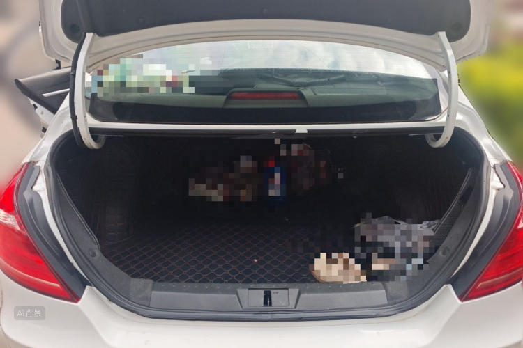 GEELY Emgrand 2016 #21 GEELY Emgrand 2016 image de voiture #21