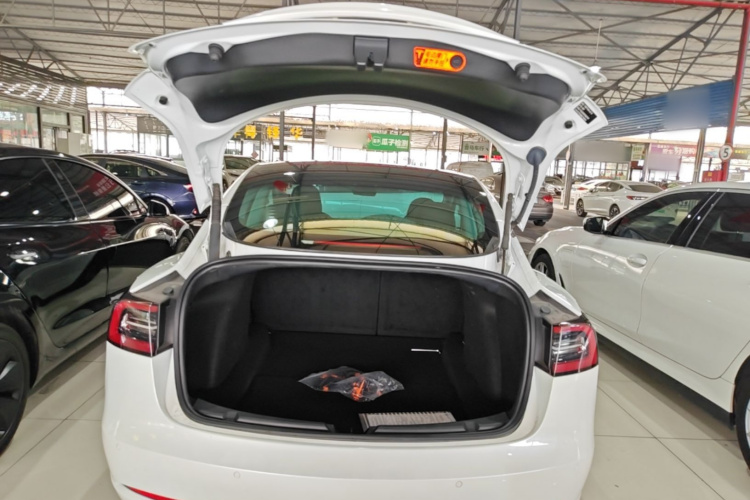 Tesla Model 3 2022 #19 Tesla Model 3 2022 immagine di auto #19