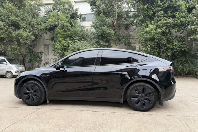 Tesla Model Y 2023 #5 Tesla Model Y 2023 car image #5