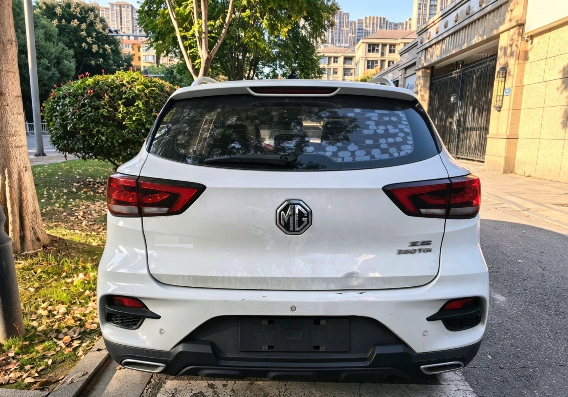 MG ZS 2020 #5 MG ZS 2020 car image #5