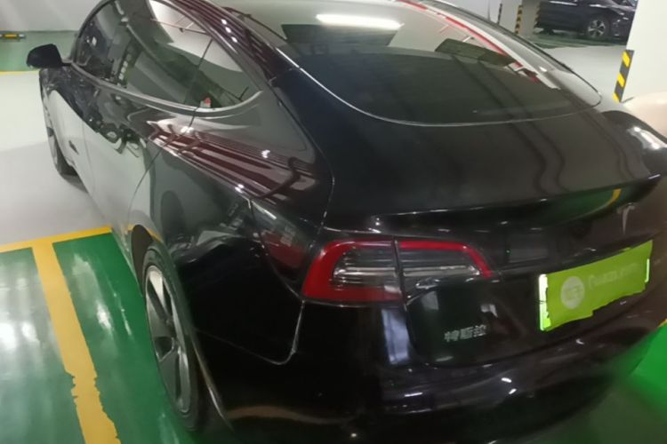 Tesla Model 3 2021 #7 Tesla Model 3 2021 car image #7