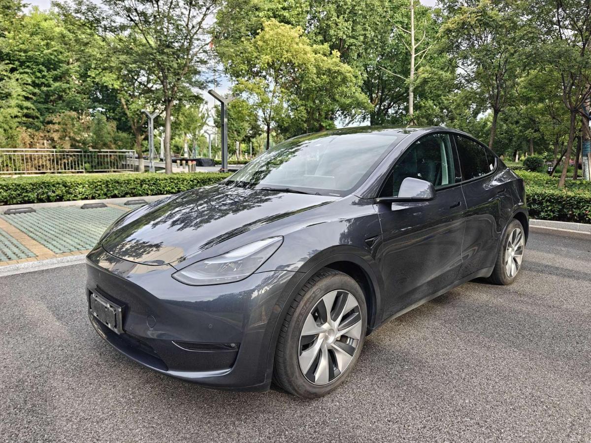 Tesla Model Y 2021 car image 