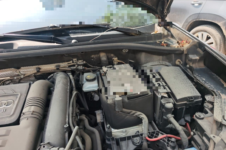 Audi Q3 2020 immagine di auto #25
