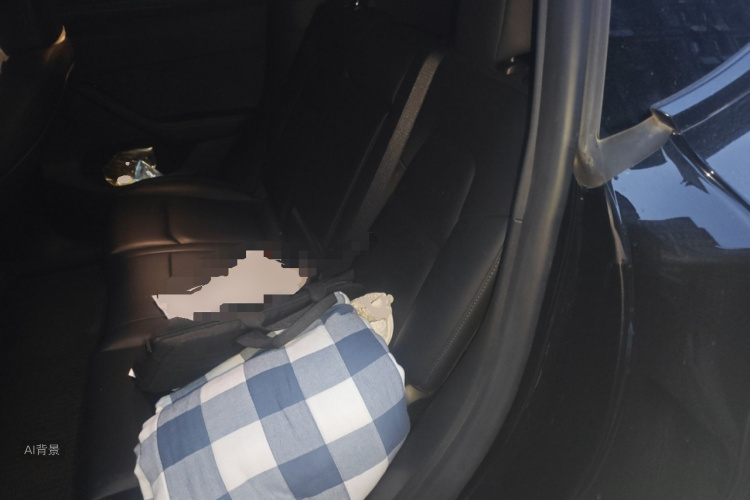 Tesla Model Y 2023 car image #19