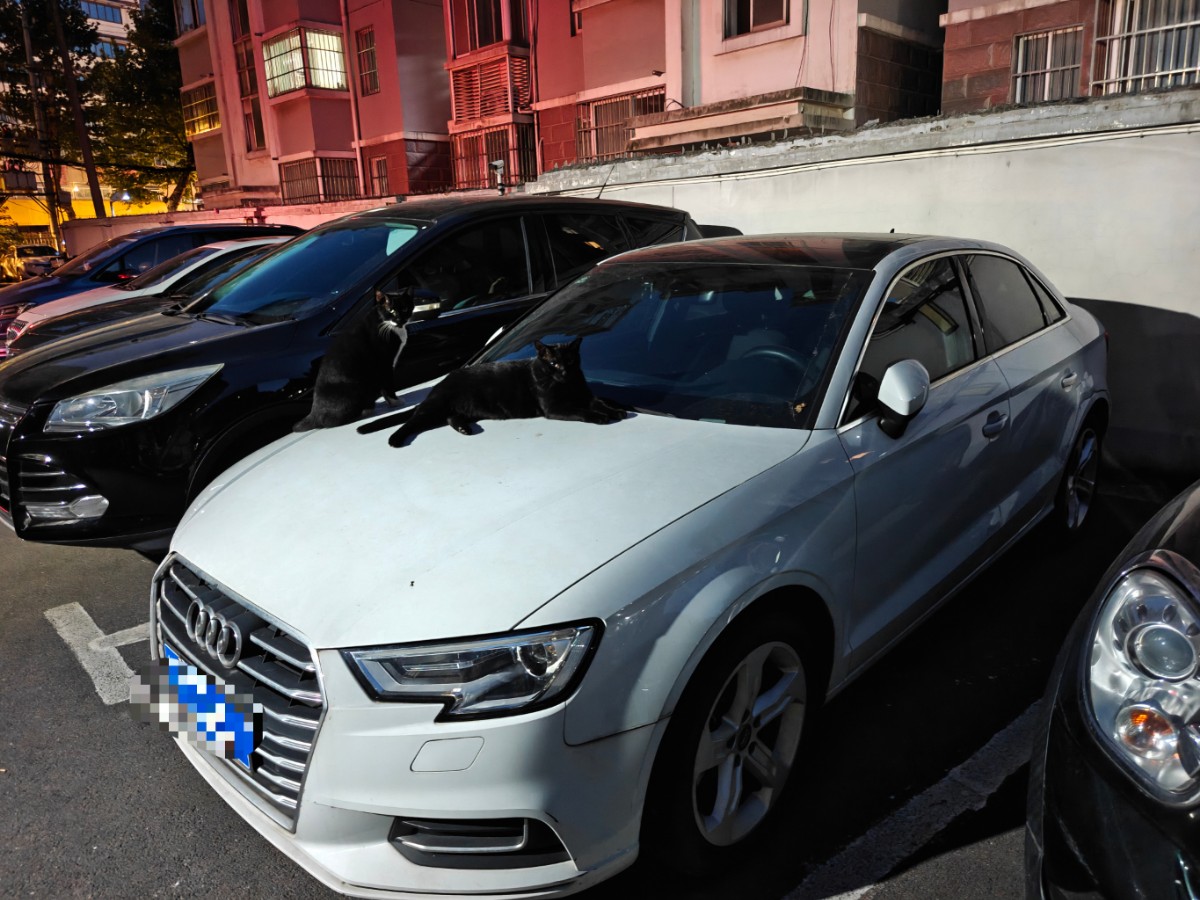 Audi A3 2020 car image 