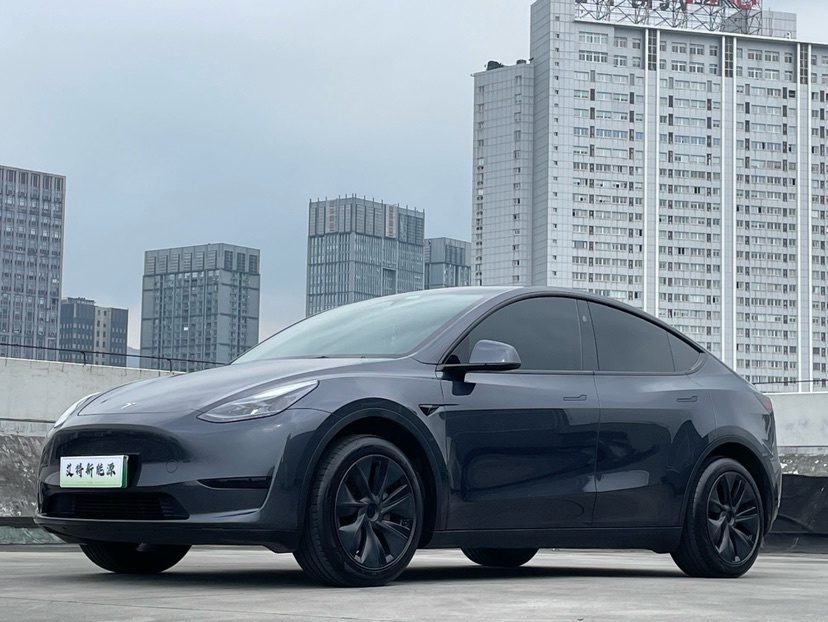 Tesla Model Y 2024 Tesla Model Y 2024 car image