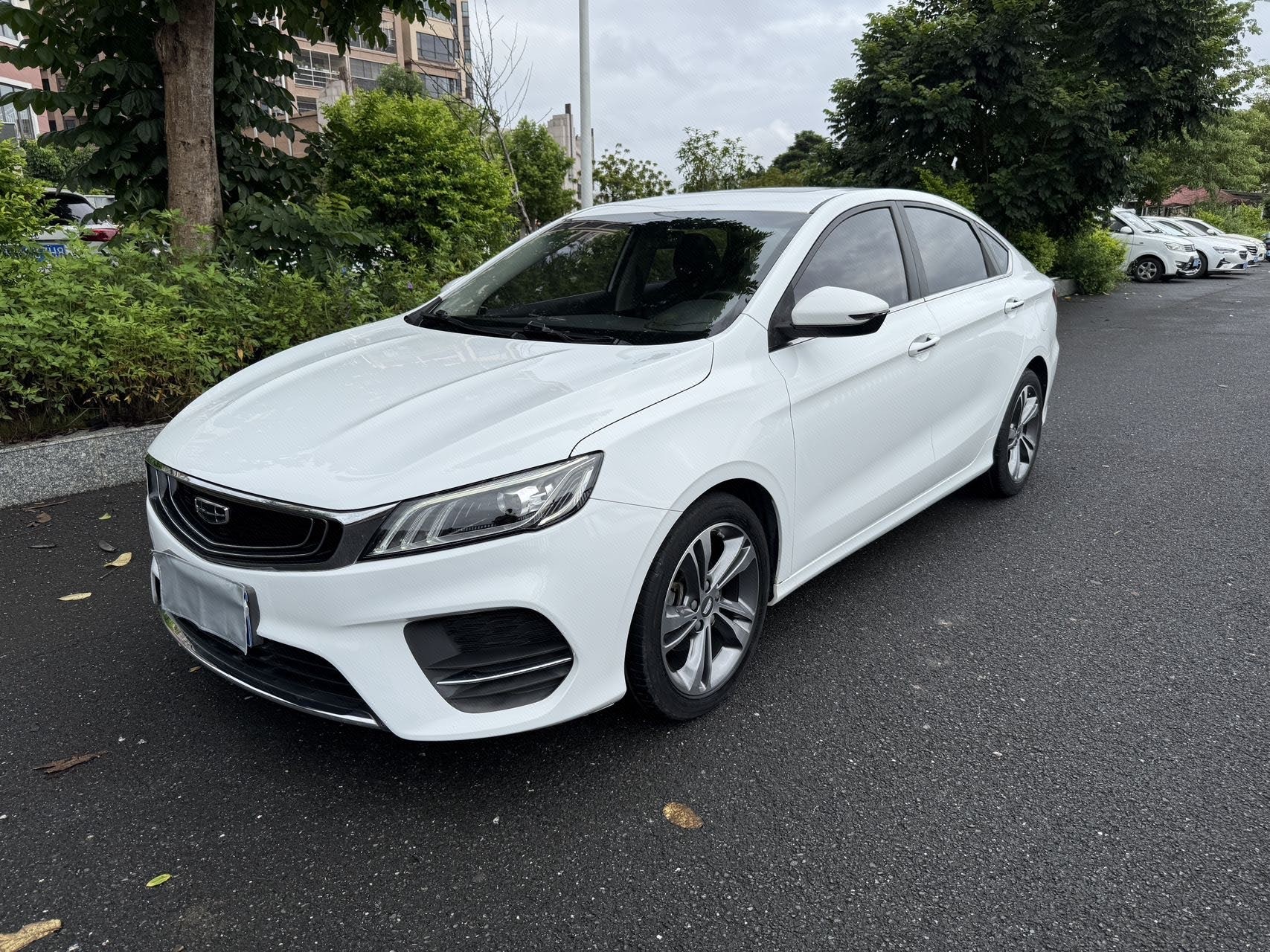 GEELY Binray 2020 GEELY Binray 2020 car image