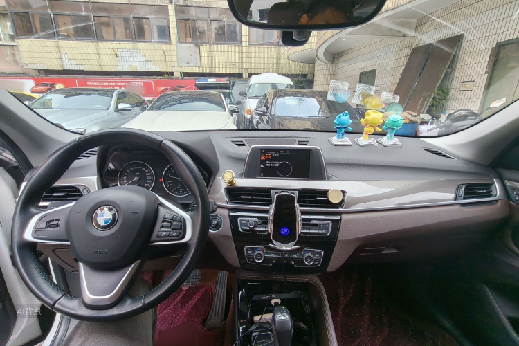 BMW X1 2016 car image #11