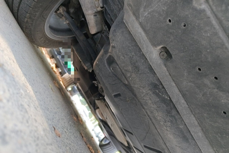 Audi Q3 2023 imagem de carro #19