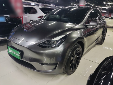 Tesla Model Y 2022 car image 