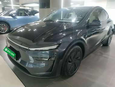 Tesla Model Y 2025 Tesla Model Y 2025 car image