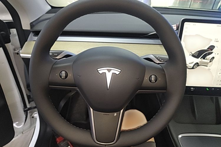 Tesla Model Y 2023 car image #15
