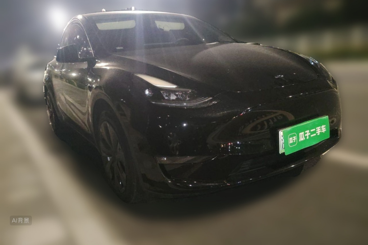 Tesla Model Y 2021 car image #4