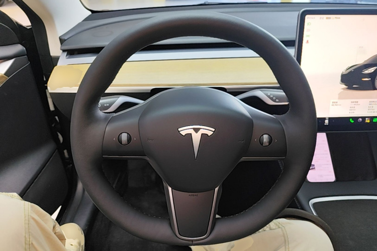 Tesla Model 3 2022 изображение автомобиля #11