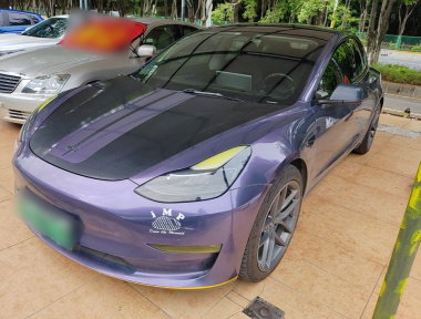Tesla Model 3 2021 Tesla Model 3 2021 car image