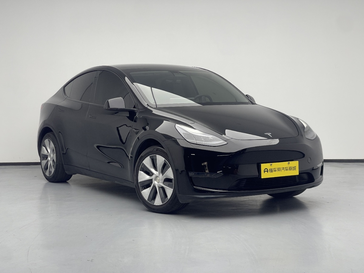 Tesla Model Y 2021 #3 Tesla Model Y 2021 car image #3