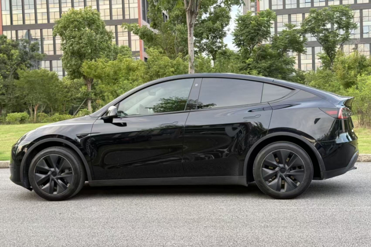 Tesla Model Y 2023 #6 Tesla Model Y 2023 car image #6