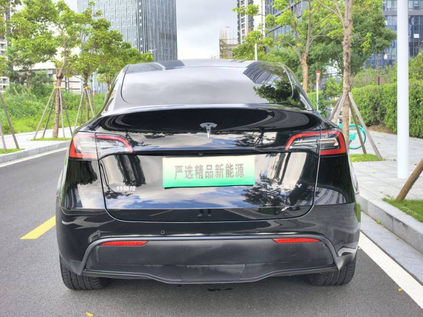 Tesla Model Y 2022 car image #11