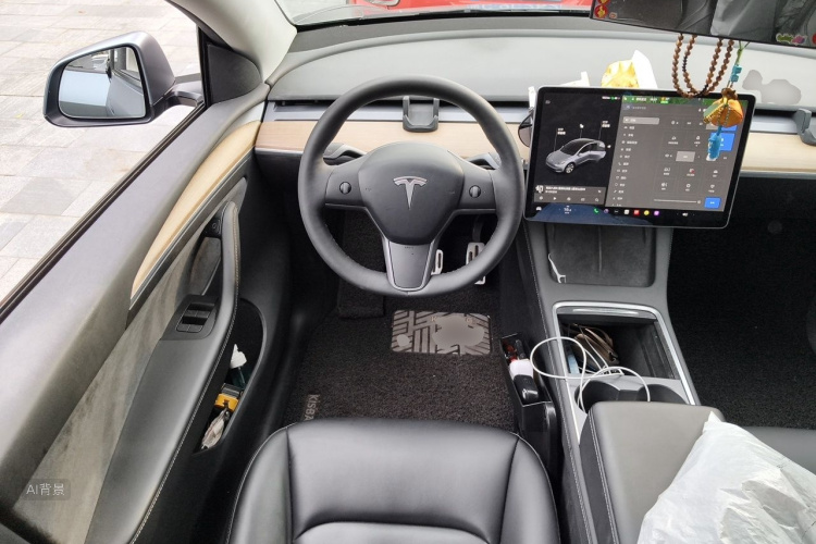 Tesla Model Y 2021 car image #12
