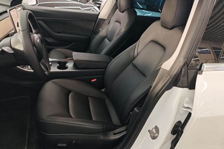 Tesla Model 3 2020 car image #15