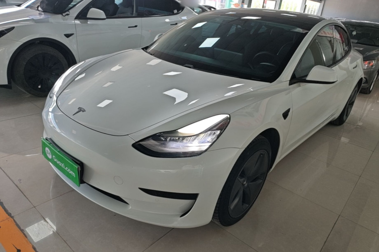 Tesla Model 3 2020 #2 Tesla Model 3 2020 car image #2