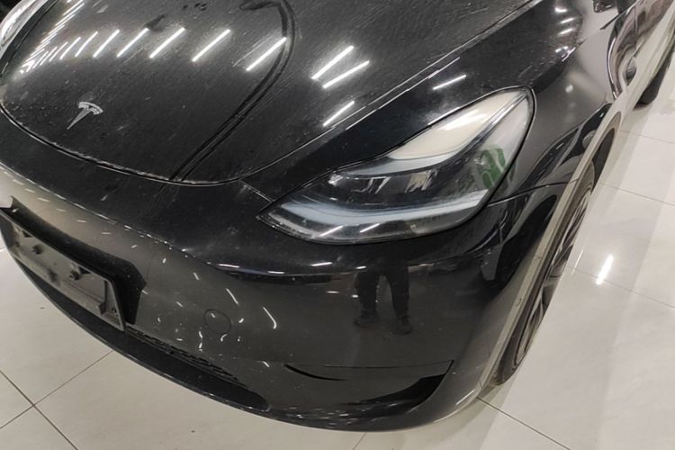 Tesla Model Y 2023 #23 Tesla Model Y 2023 car image #23
