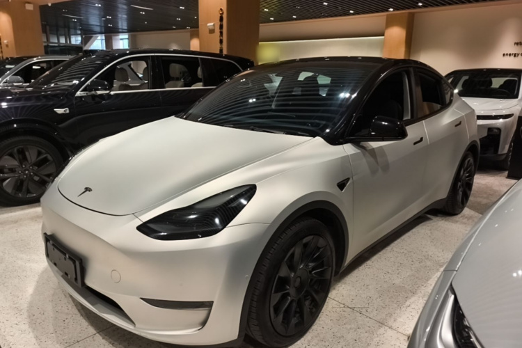 Tesla Model Y 2021 #2 Tesla Model Y 2021 car image #2