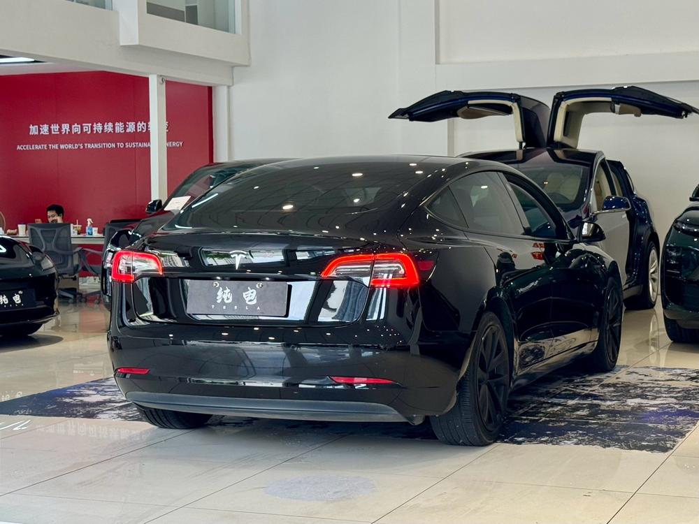 Tesla Model 3 2020 #7 Tesla Model 3 2020 car image #7