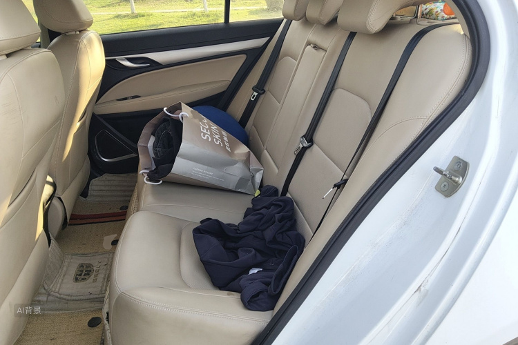 GEELY Emgrand 2019 car image #19