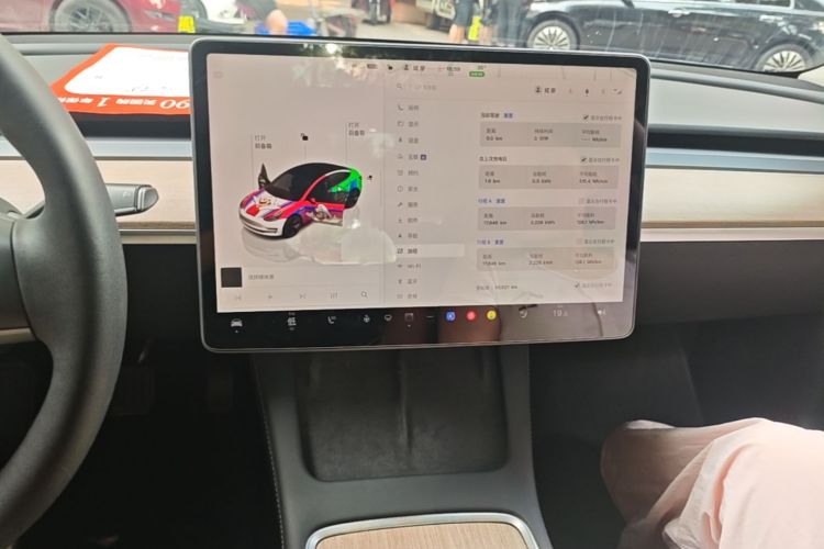 Tesla Model 3 2022 immagine di auto #13