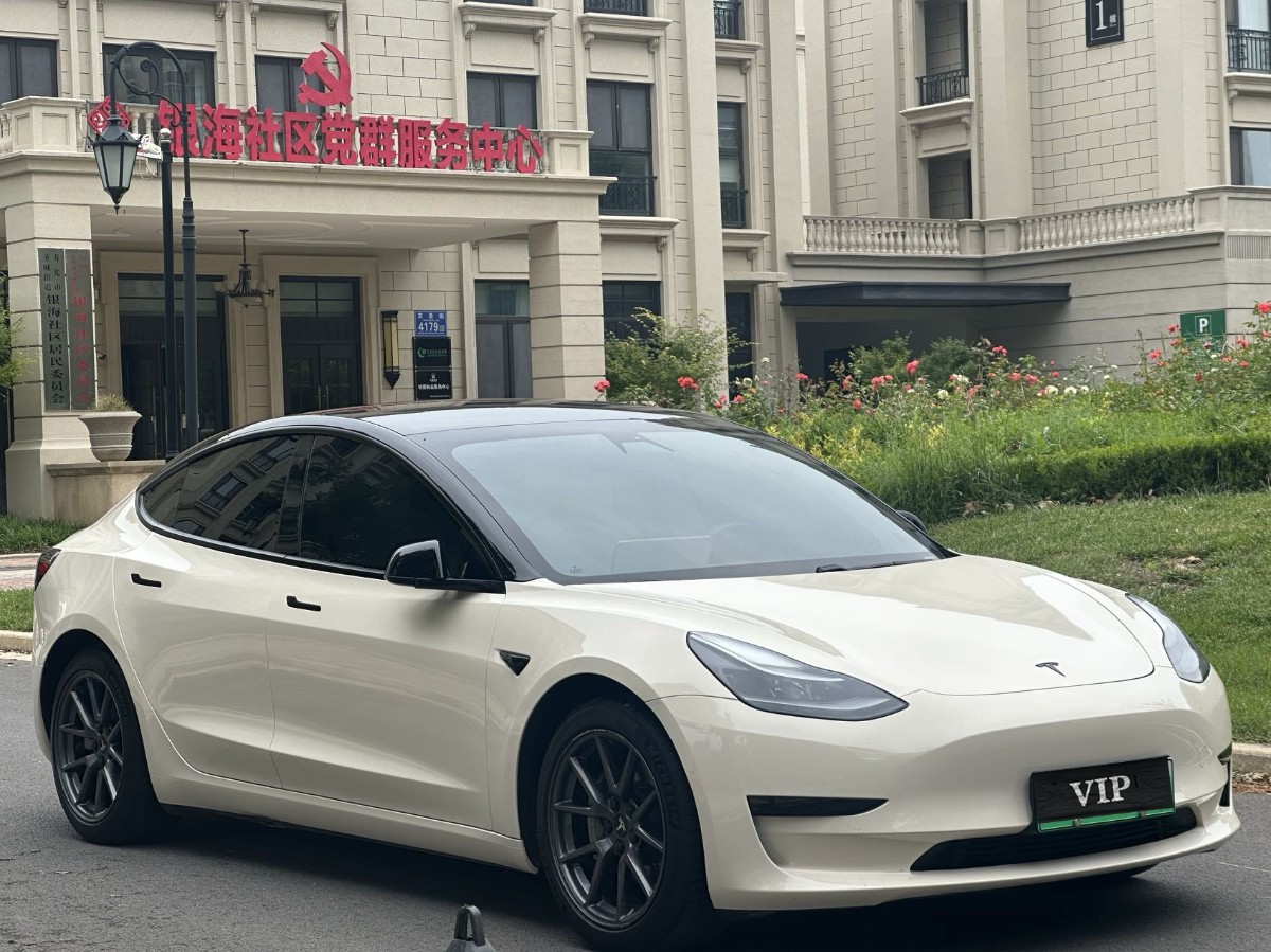 Tesla Model 3 2021 Tesla Model 3 2021 car image