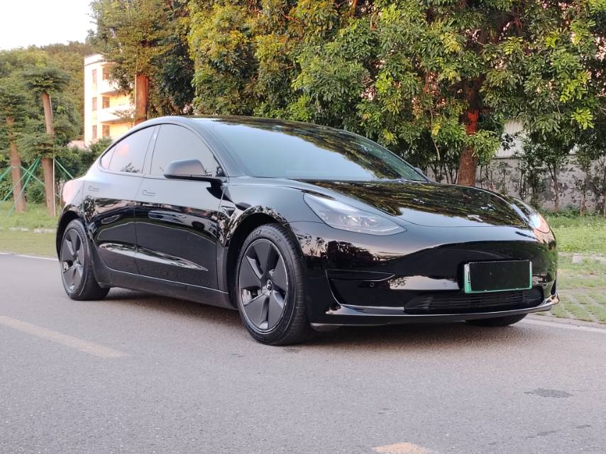 Tesla Model 3 2023 #3 Tesla Model 3 2023 car image #3