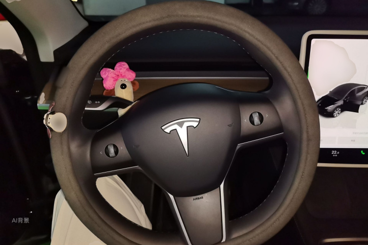 Tesla Model Y 2023 car image #12