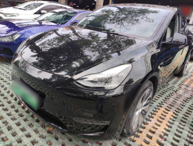 Tesla Model Y 2021 Tesla Model Y 2021 car image