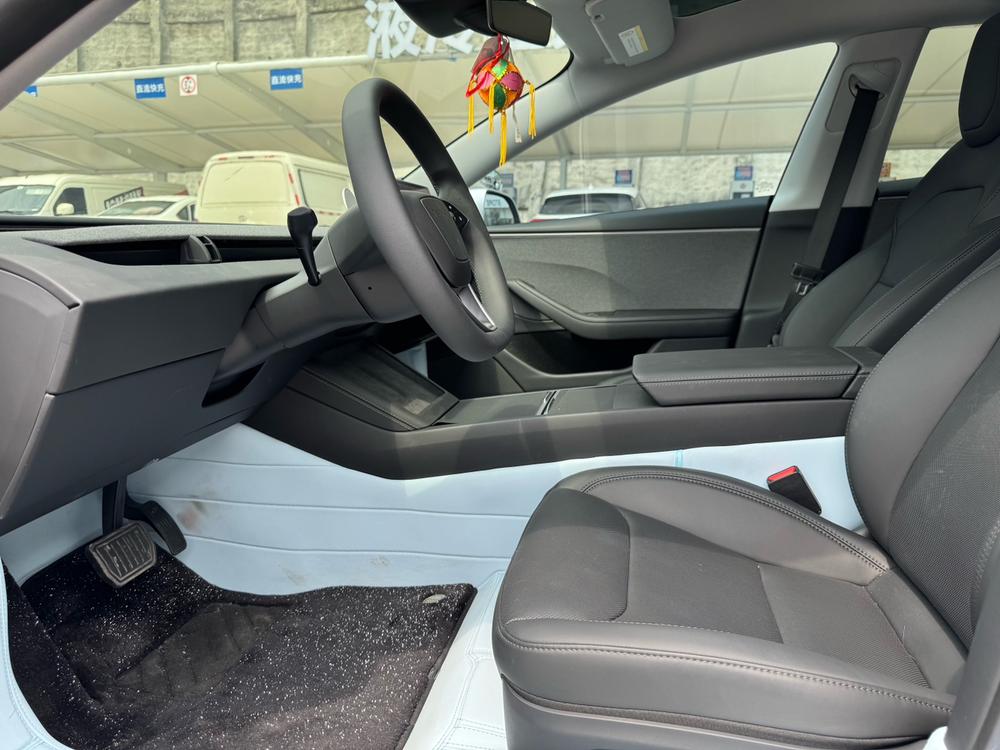 Tesla Model 3 2025 car image #12