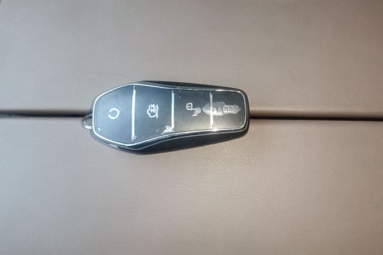 BYD Han 2024 car image #9
