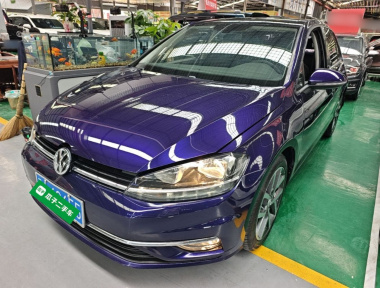 Volkswagen Golf 2019 Volkswagen Golf 2019 car image