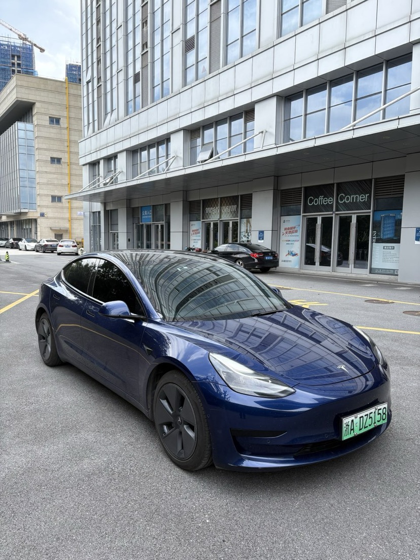 Tesla Model 3 2021 #5 Tesla Model 3 2021 car image #5