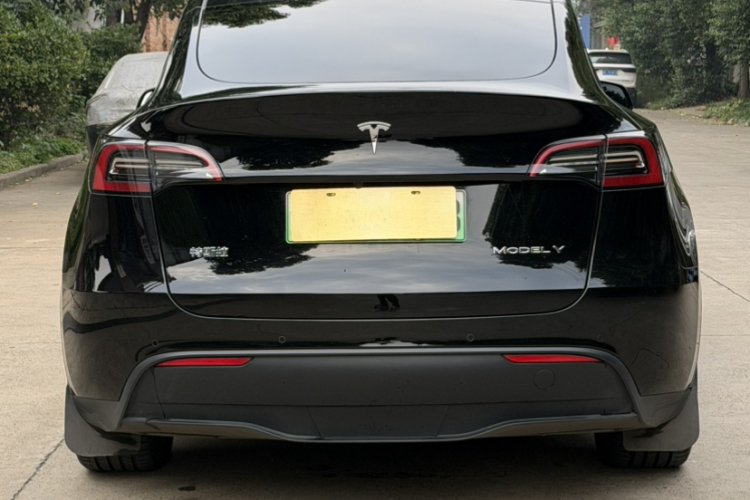 Tesla Model Y 2023 #8 Tesla Model Y 2023 car image #8
