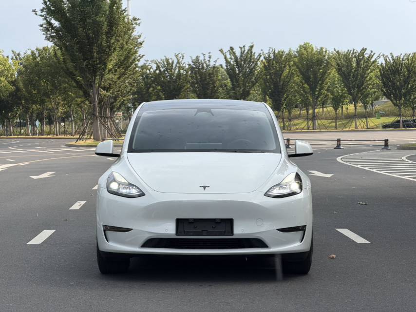 Tesla Model Y 2024 car image #2
