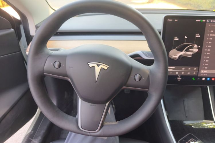 Tesla Model 3 2020 #11 Tesla Model 3 2020 car image #11