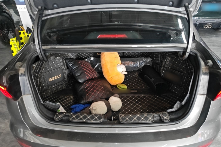 GEELY Emgrand 2021 #19 GEELY Emgrand 2021 immagine di auto #19